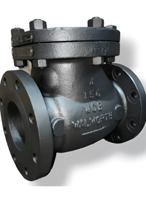 Válvula Check Columpio A/c Walworth 5341faa De 4 Clase150